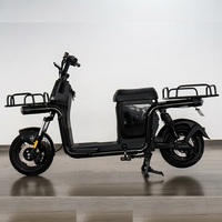 Vélo électrique 800W, vélo électrique à 2 roues pour la livraison de nourriture, Bicicleta Electrica coloré, vélo électrique 60V