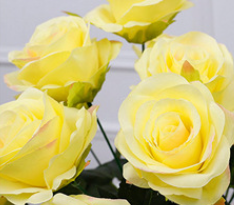 สีเหลือง