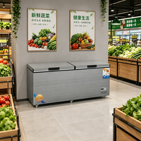Réfrigérateur et congélateur solaire 218L, glacière Corona Extra, congélateur à double température, congélateurs coffres, réfrigération tout-en-un