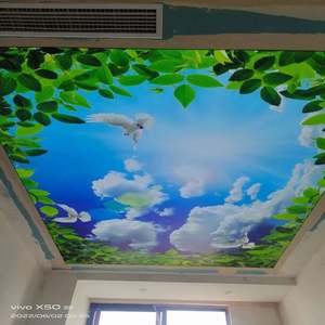 良質な価格のUV印刷ファブリック膜 中国で人気の5Mプラフォンド テンドゥ PVCストレッチ天井フィルム素材 サウジアラビアデザイン - Product Image 4