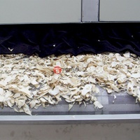 Machine de traitement des chips de konjac et de manioc séchés Shouchuang OEM avec contrôle PLC, sécheuse de légumes konjac, porang et manioc