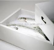 Boîte à glace, boîte à poisson, boîte en polystyrène extensible pour l'emballage, prix d'usine le plus vendu