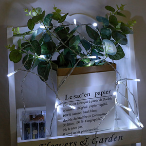 AA pin hoạt động 2M <span class=keywords><strong>LED</strong></span> <span class=keywords><strong>Mini</strong></span> Fairy <span class=keywords><strong>Lights</strong></span> cho Giáng sinh Garland trang trí - Product Image 2