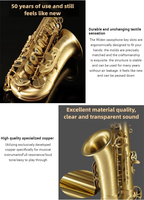 Professional Eb Alto Saxophone, Gold Lacquered Brass, Rich Tone, Cost-effective and Customizable
