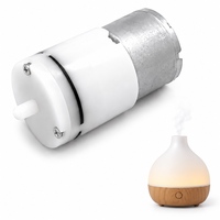 Pompe à air miniature à diaphragme sans balais 310, moteur DC longue durée, fabricant OEM personnalisé pour instruments cosmétiques