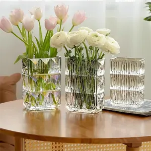 Vaso de flores de vidro fino gravado para plantas hidropônicas, vaso quadrado colorido de design simples e moderno para decoração de casa