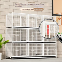 Cage d'élevage pour pigeons avec plateau en fer et plastique, sécurisée, pour intérieur et extérieur, anti-rongeurs, avec poulie, taille moyenne, cage pour animaux de compagnie