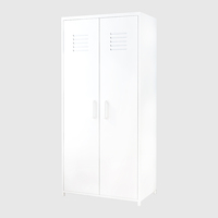 Meubles de maison, design moderne, armoire à deux portes, armoire en acier, casier à vêtements en métal