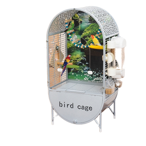 Stile europeo Xuanfeng grande Villa in ferro gabbia ornamentale peonia uccello ricamato in pelle di pappagallo paesaggio case per animali domestici mobili - Product Image 5
