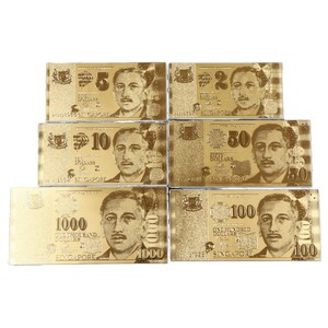 Fournisseur de pièces de monnaie commémoratives en feuille d'or, billets de banque personnalisés, impression numérique couleur exquise, matériau PET, États-Unis - Product Image 6