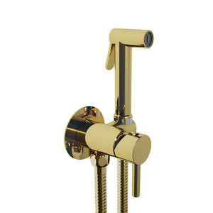 Распродажа, набор самоочищающегося полированного хромированного биде - Product Image 4