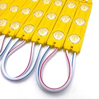 Module LED blanc chaud blanc avec puce SMD 3W puissance IP68 et IP65 tension d'entrée DC 12V pour éclairage extérieur