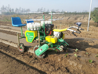 Transplanteur d'oignons et de riz à 2/4 rangées avec irrigation