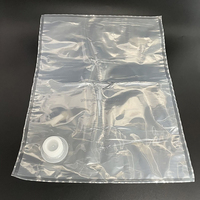 10l 20l Aseptische Transparante Slabbetje In Doos Met Drukkap Deksel Ventiel Zak Siroop Ei Cream Tomaat Fruit Puree Drank Drinkzak