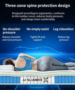 AISLUMBERX Smarte Graphen-Heizmassagematratze mit Airbag-System, Einstellbare Härte, Umweltfreundlich für Zuhause, Krankenhaus, Schlafzimmer - Product Image 2
