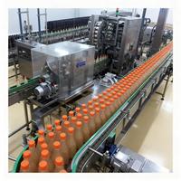Ligne de production automatique de bouteilles de 500ml 1L pour animaux de compagnie, boisson liquide, remplissage, embouteillage