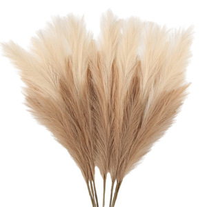 Plante Artificielle Nouveauté 2026 – Herbe de la Pampa Marron à l'Aspect Réel, Fleurs Séchées, Ornements, Vente en Gros, Fournisseur de Plantes Artificielles pour Lits de Fleurs - Product Image 6