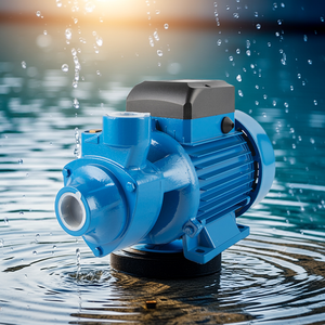Bomba <span class=keywords><strong>de</strong></span> <span class=keywords><strong>Agua</strong></span> QB60 <span class=keywords><strong>de</strong></span> Alta Presión, <span class=keywords><strong>de</strong></span> Una Etapa, Fabricada en China, Venta Directa <span class=keywords><strong>de</strong></span> Fábrica, Alta Calidad, Precio Económico - Product Image 2