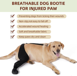 Nouveaux étuis de <span class=keywords><strong>protection</strong></span> pour animaux de compagnie, protège-jambes pour chien anti-léchage et mordant, équipement de <span class=keywords><strong>protection</strong></span> pour chien à souche ligamentaire articulaire du genou - Product Image 2