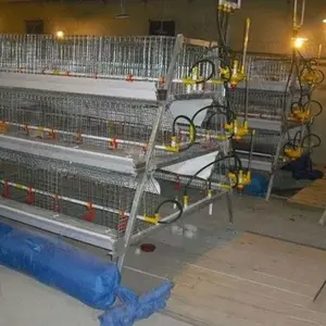 A type zambia battery cages for poultry chicken broiler