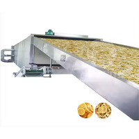 Ligne de nettoyage industrielle de fruits aux raisins secs germes de haricots choux légumes machine à laver et à sécher la machine déshydrateur alimentaire