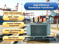Transformateur de distribution triphasé immergé dans l'huile pour usage agricole et parcs industriels, 50KVA, 80KVA, 100KVA, 125KVA, 6kV, 10kV