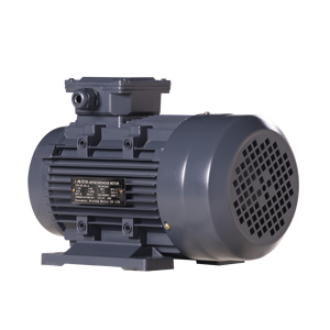 Động cơ không đồng bộ ba pha im lặng 1.1KW 380V 1450 vòng/phút cho thiết bị y tế - Product Image 2