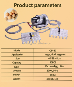 Machine de levage d'oeufs <span class=keywords><strong>sous</strong></span> <span class=keywords><strong>vide</strong></span> en acier inoxydable de qualité alimentaire/dispositif de codeur d'oeufs <span class=keywords><strong>sous</strong></span> <span class=keywords><strong>vide</strong></span> - Product Image 3