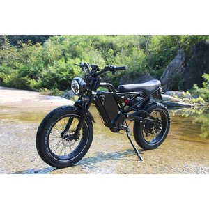 V20 Vélo Électrique le Plus Rapide en Stock 250W 750W 1000W Ebike 25km/h Fabricants de Vélos Électriques en Chine - Product Image 2