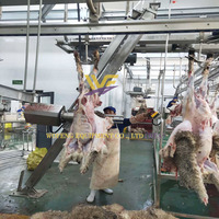 Machine mécanique à abattre les moutons et les chèvres, écoénergétique, pour ligne de traitement d'abattage destinée à l'exportation, fabriquée en Chine