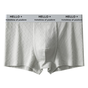 Nouveaux Caleçons pour Hommes, Boxers Tendance Jeunesse, Respirants et Confortables, Shorts pour Garçons - Product Image 2