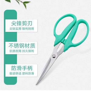 Nice Stainless Steel Pruning Shears Green Bypass 10-20 Mm For Fruit Vegetable Gardening Home Use - Product Image 2