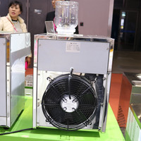 Saveurs mélangées de forme différente petite entreprise machine à glace commerciale flocons machine à crème glacée