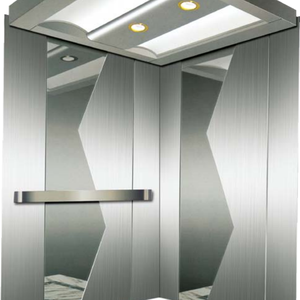 Ascensor Residencial a Medida de Fabricante Chino: Elevador de Plataforma con Panorámicas Impresionantes y Ahorro de Espacio - Product Image 6