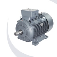 Innomotics Bei/de Motor |   Moteur Inmonda 1TL8005 |   Moteur asynchrone triphasé basse tension 115/120V