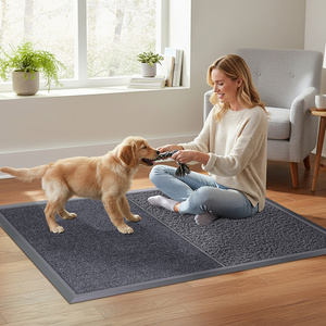 سجادة باب مطاطية حديثة مخصصة مضادة للبكتيريا، سجادة تنظيف القدمين، سجادة تعقيم للاستخدام المنزلي، واقي أحذية مطهر - Product Image 2