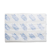 Pack de glace sèche Super absorbante, nouvelle vente 2023, pour la livraison de nourriture