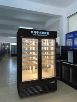 Réfrigérateur vieillissant à sec de boeuf réfrigérateur de maturation de viande double porte en acier inoxydable congélateur séchoir Machine réfrigérateur de vieillissement à sec de viande