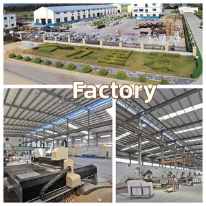 बहुमुखी काले ग्रेनाइट स्लैब-रसोई काउंटरटॉप्स, बाथरूम वैनिटीज और वाणिज्यिक बार - Product Image 5