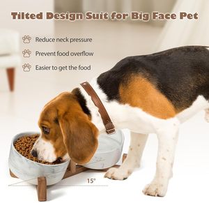 Nuevo Diseño de Tazón para Mascotas de 400ml/850ml con Soporte de Madera, Tazón de Cerámica para Perros y Gatos - Product Image 2