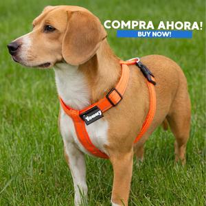 Pettorina per Cani Yommy in Nylon Riflettente, Regolabile a Quattro Punti, Anti-Trazione, Design Comodo e Leggero - Product Image 6
