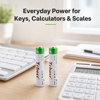Batterie rechargeable AAA 1,5 V 600 mAh USB-C Li-ion 1200 cycles pour télécommandes, horloges et jouets