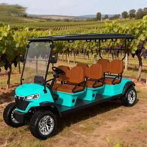 WOLAN Chariot de golf électrique stable 6 places avec accoudoirs pour personnes âgées, idéal pour les centres communautaires - Product Image 6