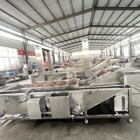 Volledig automatische sorteer-, snij-, was-, droog- en verwerkingslijn voor groenten en fruit, inclusief machines voor het wassen en verwerken van groenten en fruit.