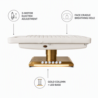 Cama de belleza eléctrica de 3 motores con columna dorada cepillada, base de luz LED cálida, orificio facial, para terapia, salón, spa, microblading, clínica