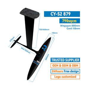 Hidroala de aluminio y carbono para deportes acuáticos, <span class=keywords><strong>cometa</strong></span> inflable, tabla de SUP de <span class=keywords><strong>Surf</strong></span> <span class=keywords><strong>con</strong></span> batería de 48V, equipo de esquí acuático, accesorio de bolsa - Product Image 2