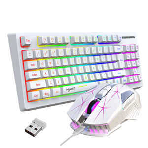 Hxsj L100 87-Key 2.4G USB Không Dây RGB Có Thể Sạc Lại Bàn Phím Phong Cách Văn Phòng Trò Chơi Giao Diện 1800MA Truyền Cho Pcs Mới - Product Image 2