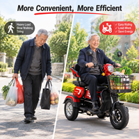 Tricycle Électrique à 3 Roues en Gros, Batterie Plomb-Acide 60V 20Ah, Moteur Moyeu Arrière, 3 Sièges Passagers, Carrosserie Ouverte, Vente Directe Usine