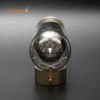 Linlai WE845 Amplificateur professionnel à tubes à vide Remplace le tube à vide Western Electric 845 Réplique