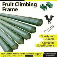 Support de plante réglable de qualité supérieure avec piquets durables, treillis de jardin pour plantes grimpantes, idéal pour les jardins domestiques